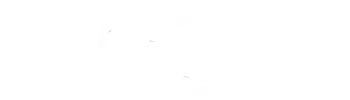 Sillini Metallica